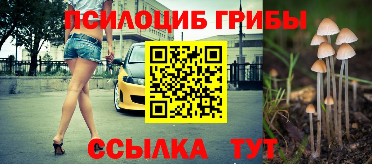 Галлюциногенные грибы ЛСД  Вход с VPN  Галлюциногенные грибы Cubensis  Великие Луки 