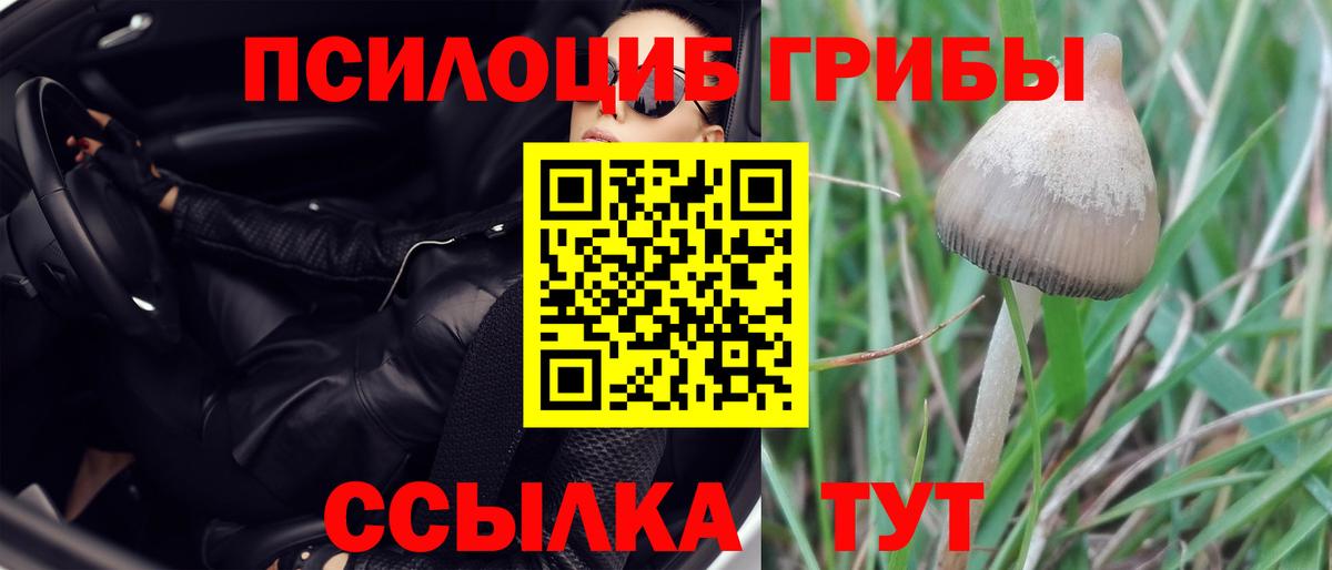 Галлюциногенные грибы мухоморы Великие Луки